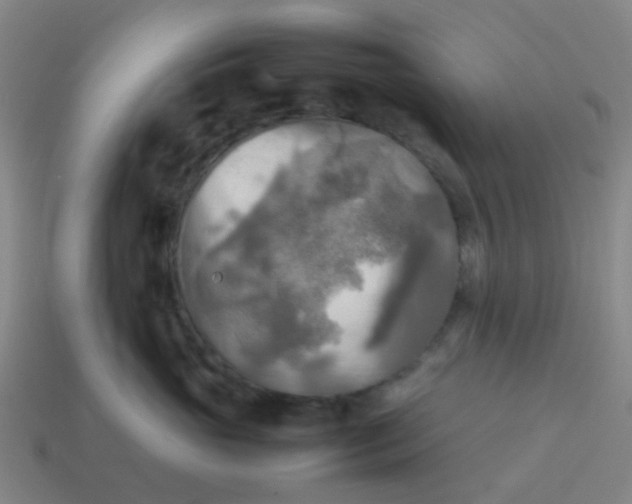 X0000114110765200910191702