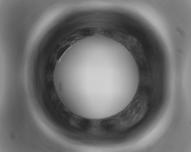 X0000114110766200910191702