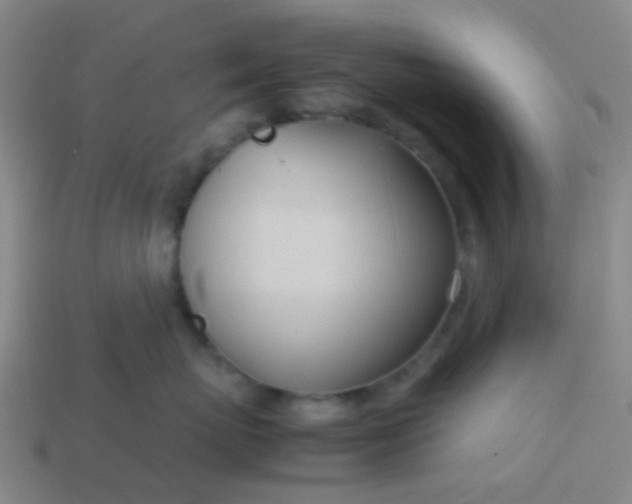 X0000114110767200910191702