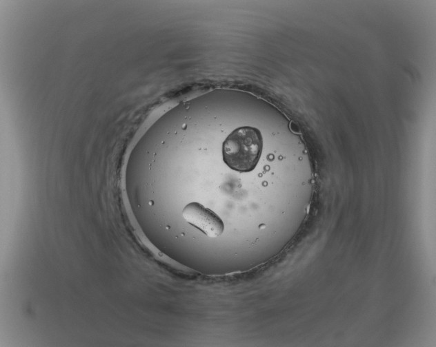 X0000114110769200910191702