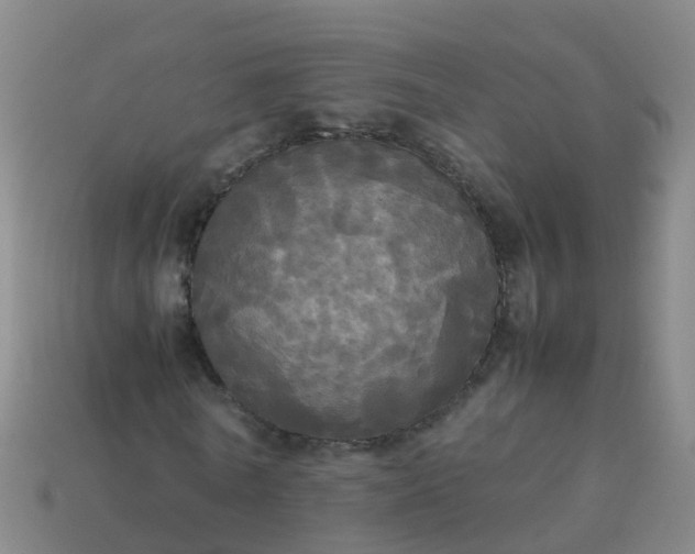 X0000114110770200910191702