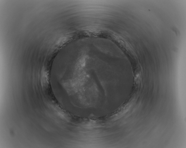 X0000114110772200910191701