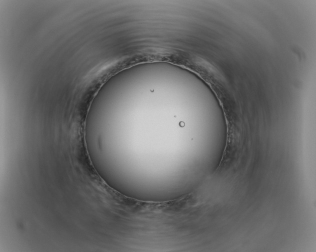 X0000114110773200910191701