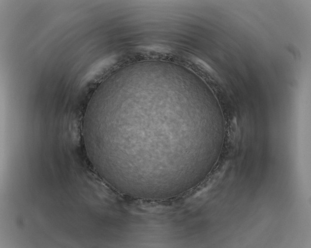 X0000114110774200910191701