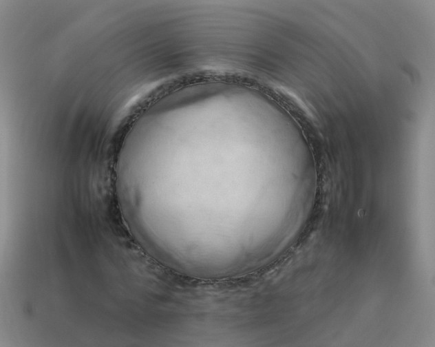 X0000114110776200910191701