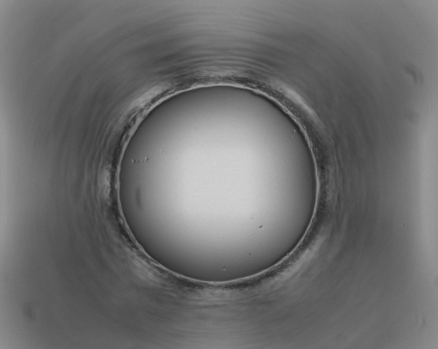 X0000114110777200910191701