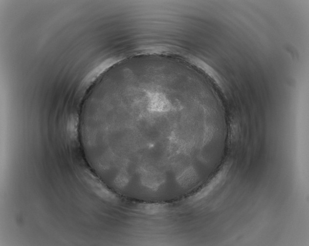 X0000114110778200910191701