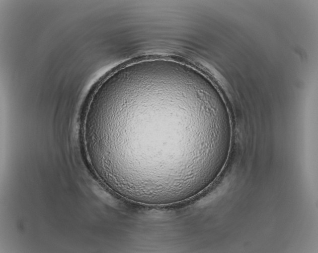 X0000114110779200910191701