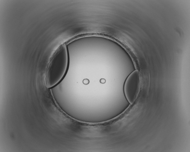 X0000114110781200910191701