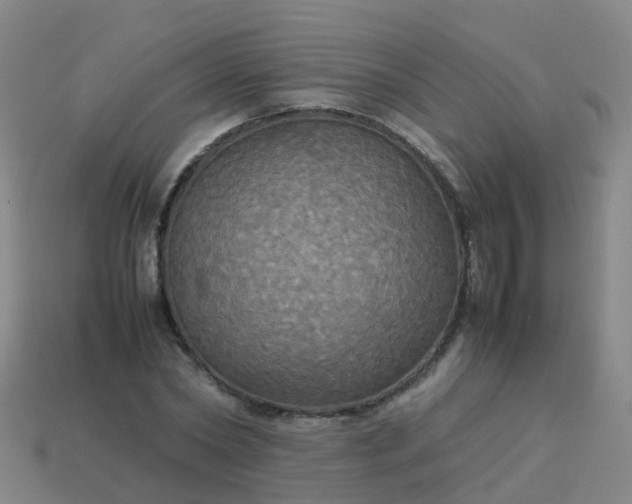 X0000114110782200910191701