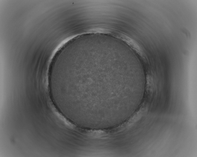 X0000114110784200910191701