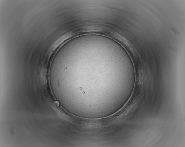 X0000114110786200910191701