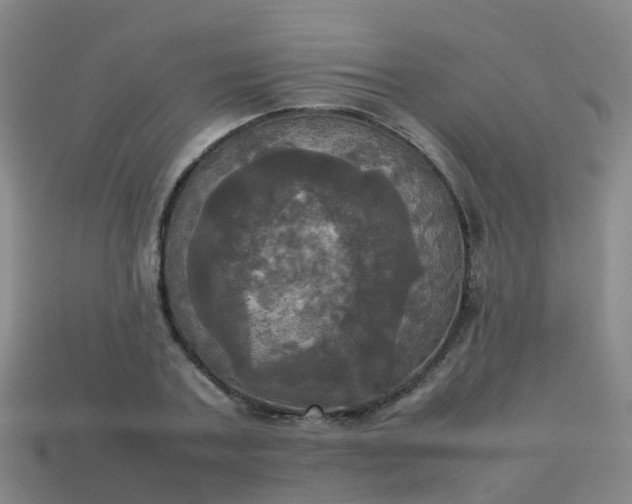 X0000114110787200910191701