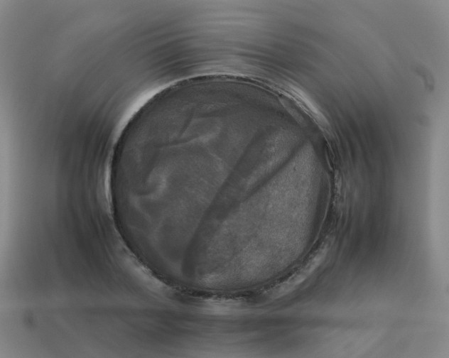 X0000114110788200910191701