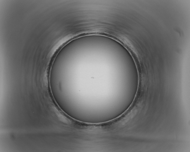 X0000114110789200910191701