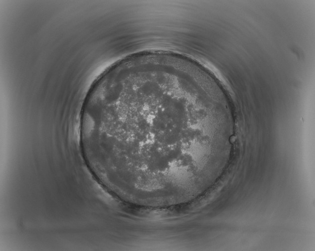 X0000114110791200910191701