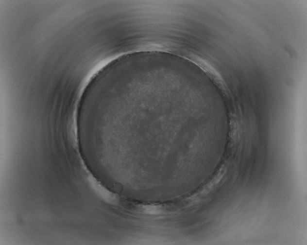 X0000114110792200910191701