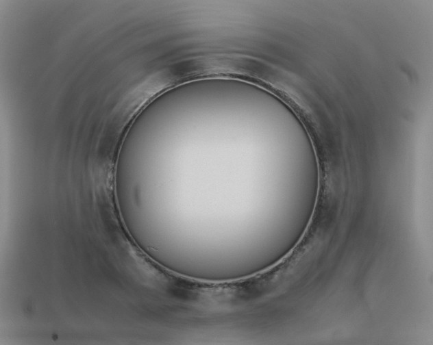 X0000114110793200910191701