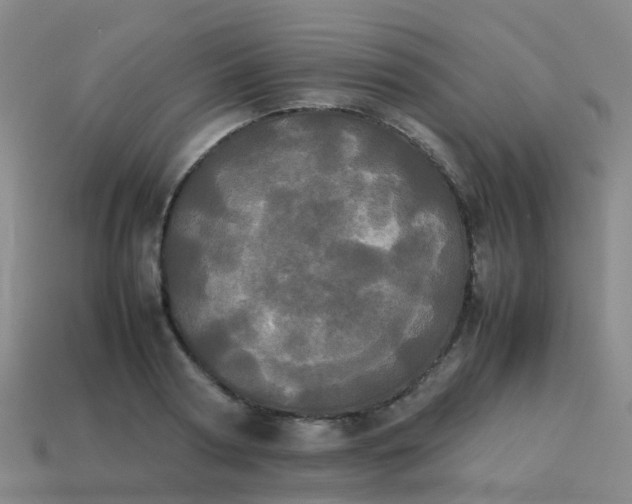 X0000114110794200910191701