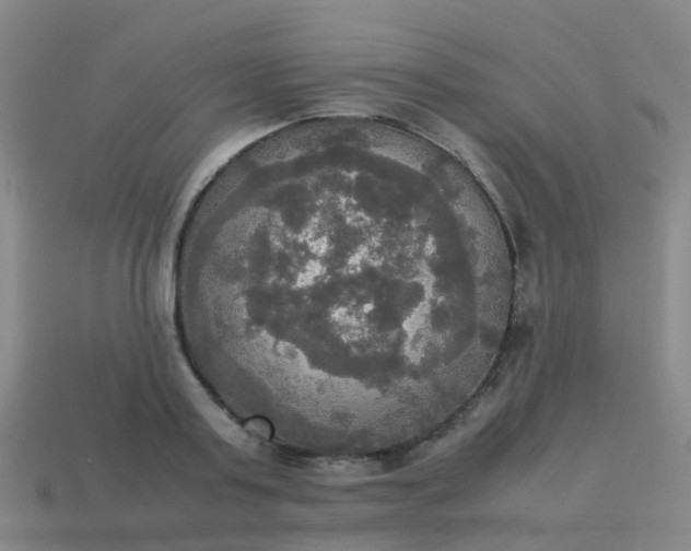 X0000114110795200910191701