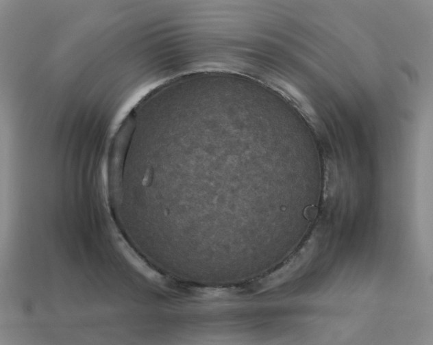 X0000114110796200910191701