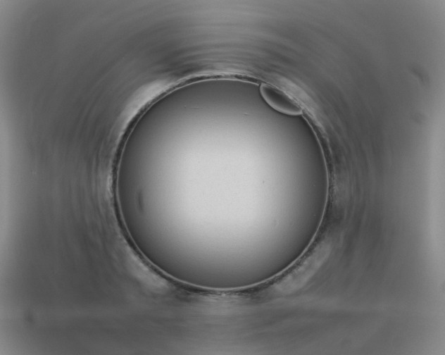 X0000114110797200910191701