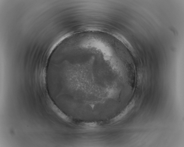 X0000114110798200910191701