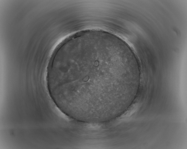 X0000114110799200910191701