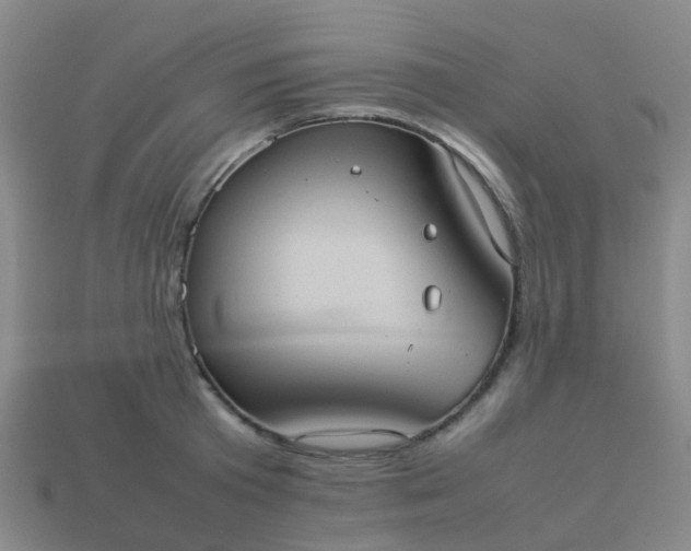 X0000114110801200910191701