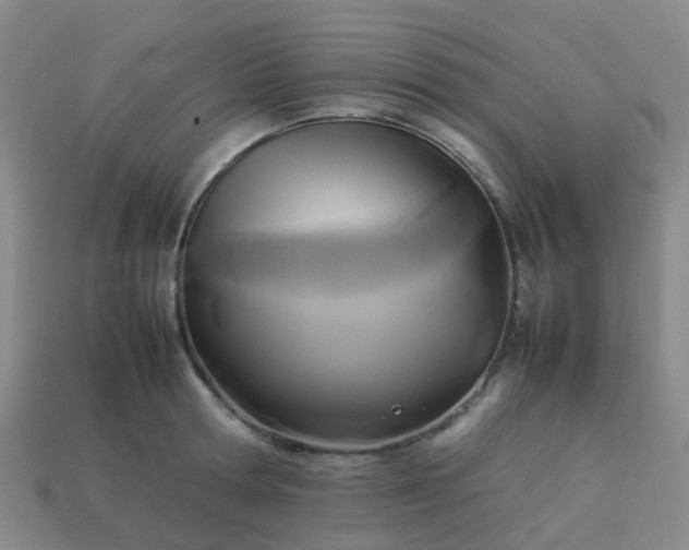 X0000114110802200910191701