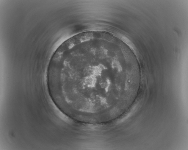 X0000114110803200910191701