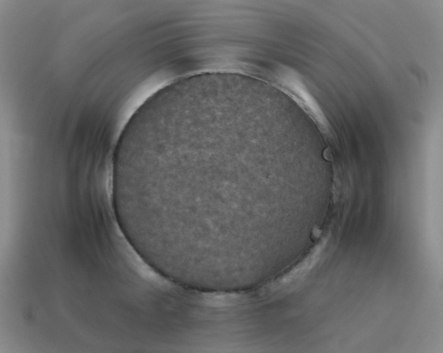 X0000114110804200910191701