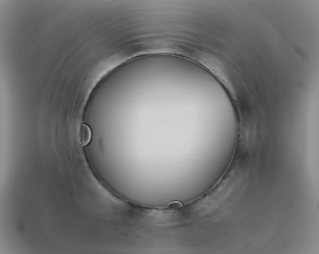 X0000114110805200910191701