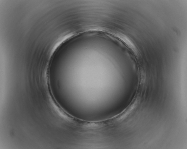 X0000114110806200910191701