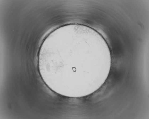 X0000114110807200910191701