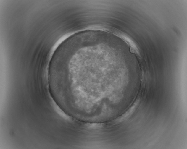 X0000114110808200910191701