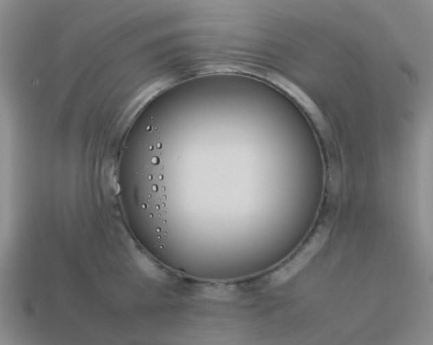 X0000114110809200910191701