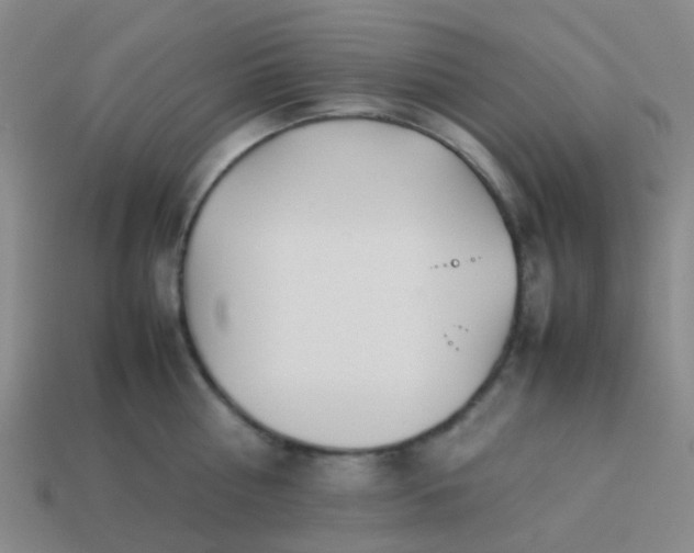 X0000114110810200910191701