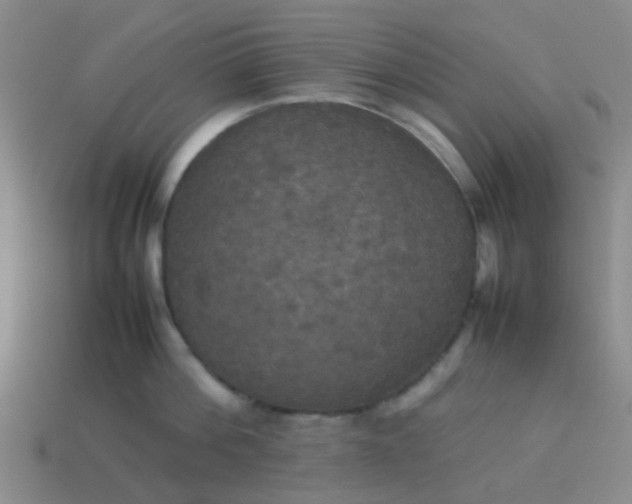 X0000114110812200910191701