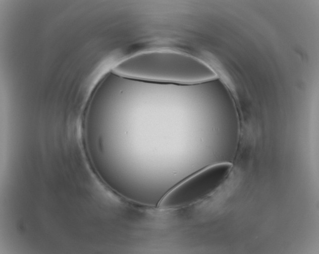 X0000114110813200910191701