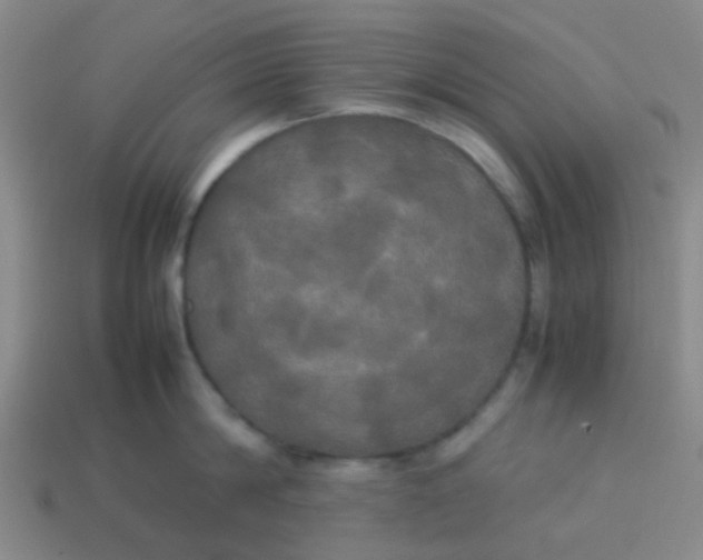 X0000114110814200910191701