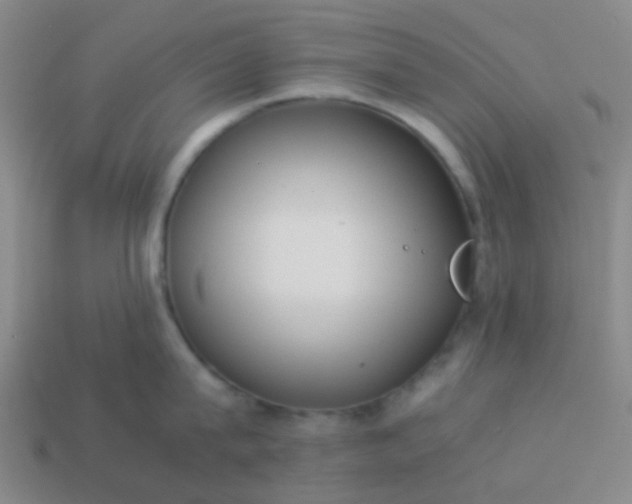 X0000114110815200910191701