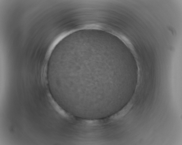 X0000114110816200910191701