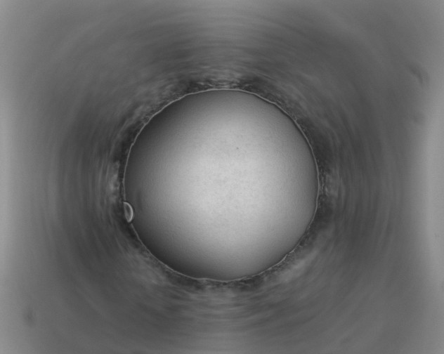 X0000114110818200910191700