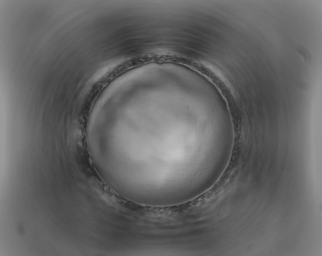 X0000114110823200910191700