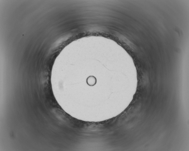 X0000114110824200910191700