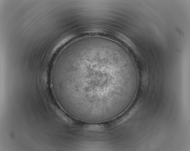 X0000114110826200910191700