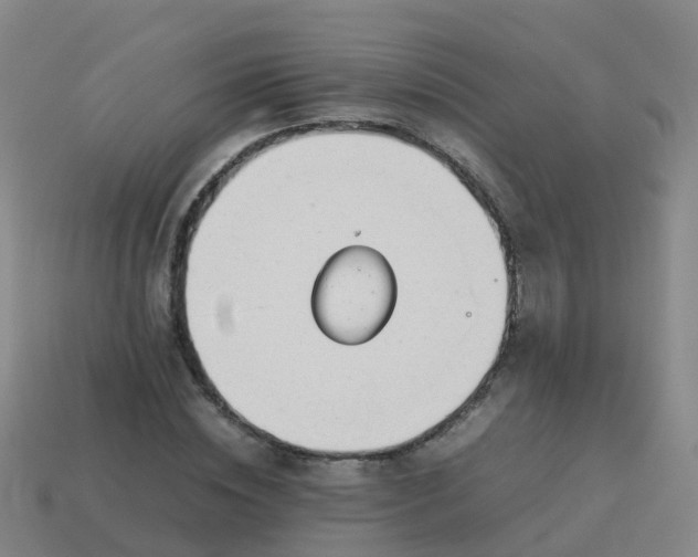 X0000114110828200910191700