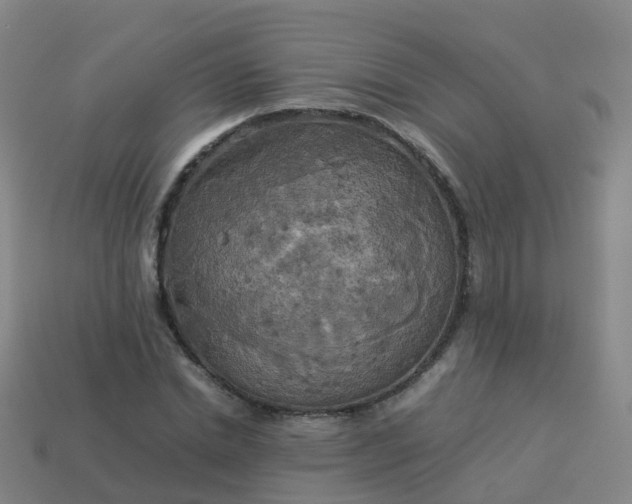 X0000114110830200910191700