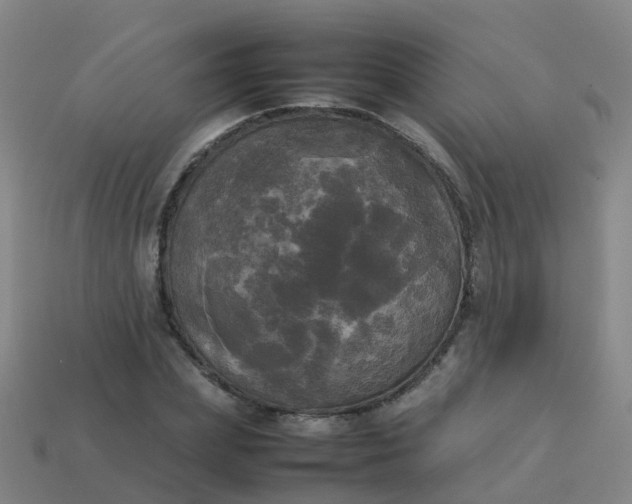 X0000114110831200910191700